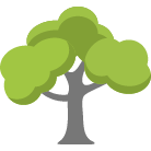 Cheyenne Tree Removal